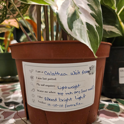 Plant Care Labels